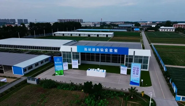 基础健康检查套餐的使用与维护建议