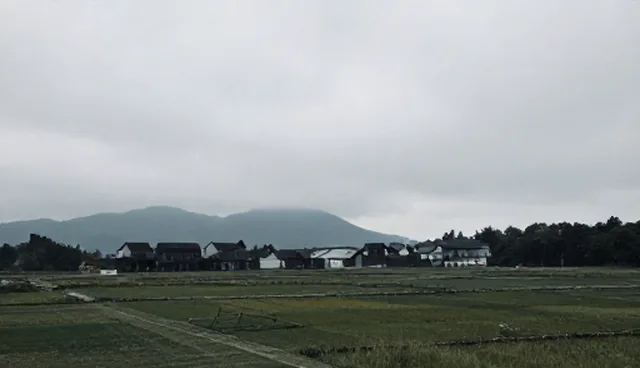 方案选型中性能与适用条件的匹配问题