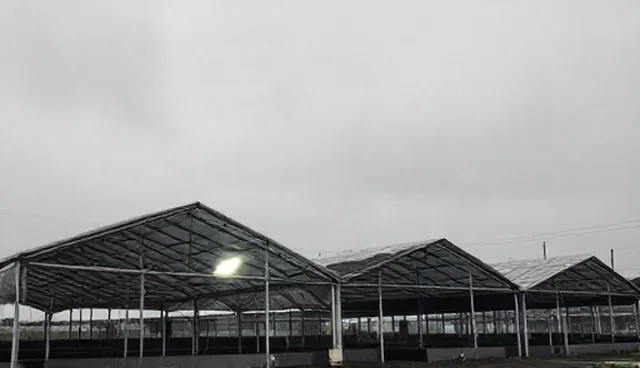 如何在健康咨询中平衡能力建设与选型关注点