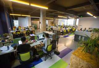 宜兴发烧级劲浪黄盆怎么样