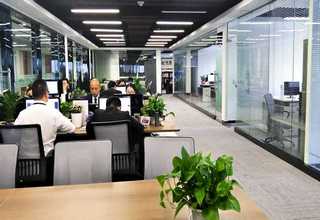 西区精装办公室咨询